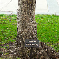 Memorial Trees