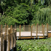 Boardwalk at the Detroit Zoo