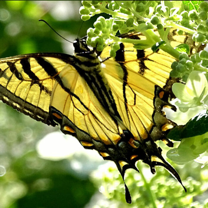 Detroit Zoo - Wildlife Interpretive Gallery