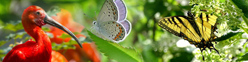 Detroit Zoo - Wildlife Interpretive Gallery