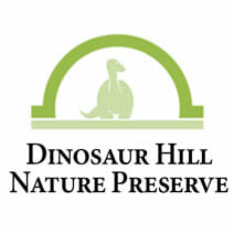 Dinosaur Hill