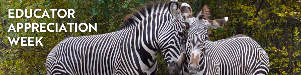 Educator Appreciation Week - Detroit Zoo